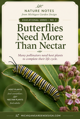 How to Create a Pollinator Habitat in Michigan: It's More Than Just Flowers pinterest pin 2