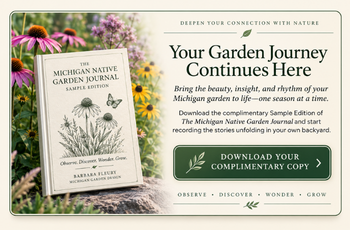 How To Prepare Your Garden for Fall Pollinators sample month link for articles